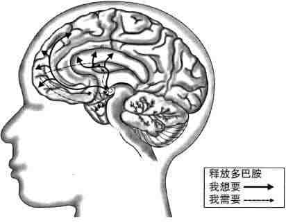 安徽得潤(rùn)電氣 成套高低壓開(kāi)關(guān)柜 廠(chǎng)家 報(bào)價(jià) 電話(huà)：400-0551-777 qq：3176885416